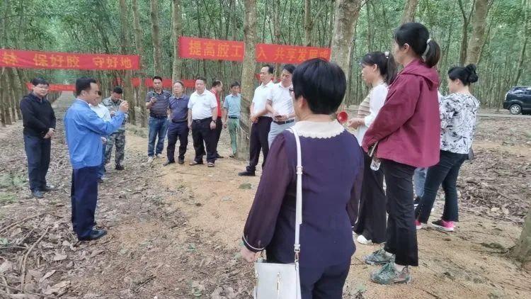 全国割胶冠军张健给各单位学员做标准化胶园建设及割胶技术的经验介绍。.jpg